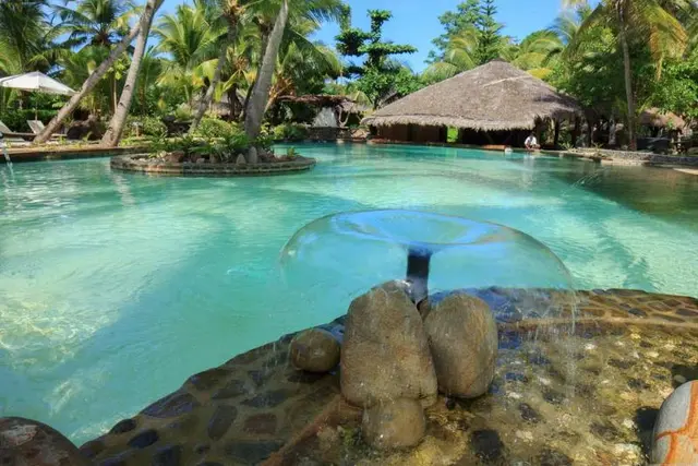 Ravintsara Wellness
