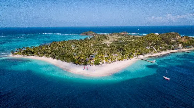 Palm Island