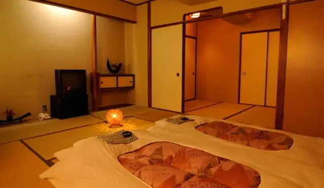 Hotel Iida