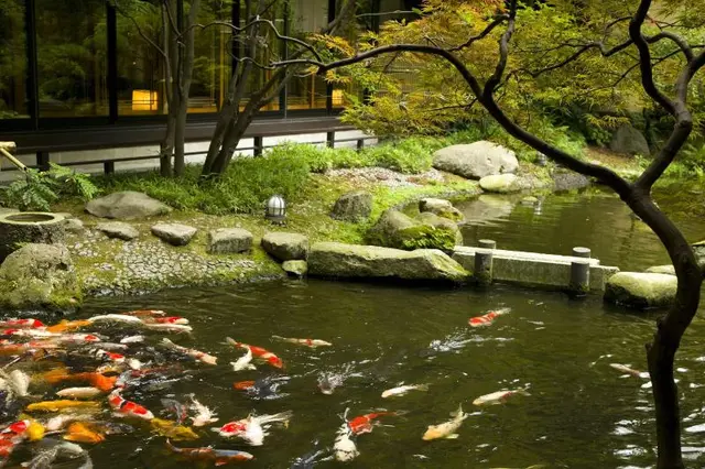 Ryokan Tachibanaya