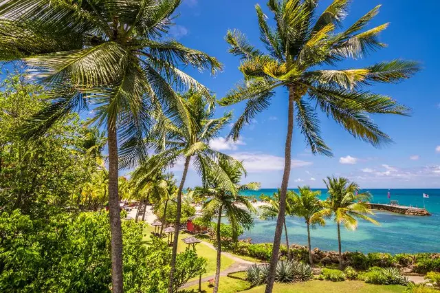 La Creole Beach Hotel & Spa