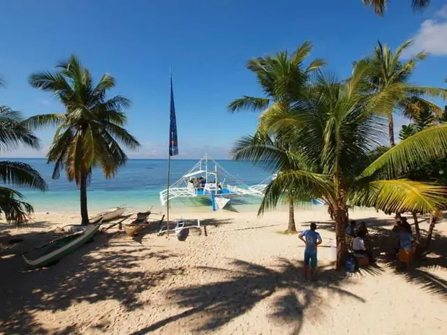 Ocean Vida Beach and Dive Resort