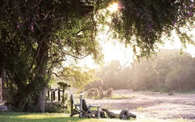 Motswari Private Game Reserve by Newmark