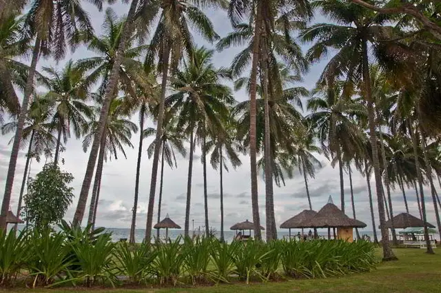 Crystal Paradise Resort, Spa & Winery
