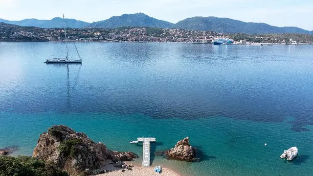 Marinca