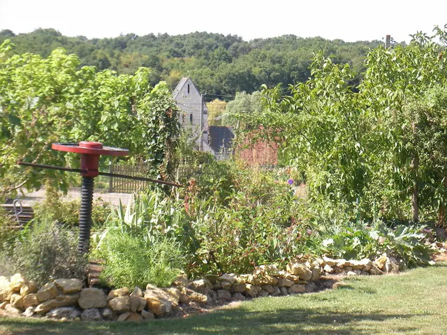 La Vallee Des Vignes