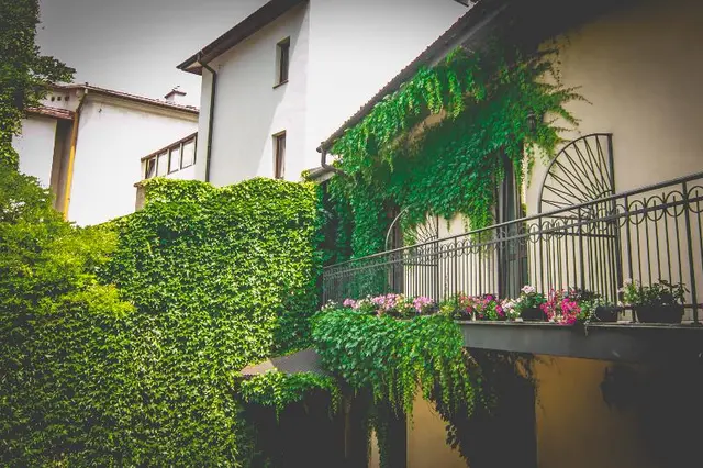 Hotel Nobilton