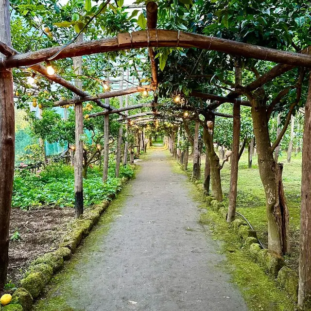 Relais Correale Rooms&Garden