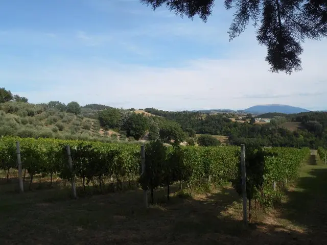 Podere Caldaruccio La Pineta
