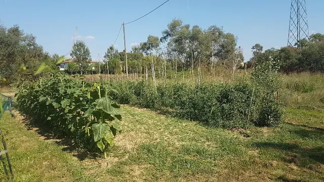 Casal Santelena