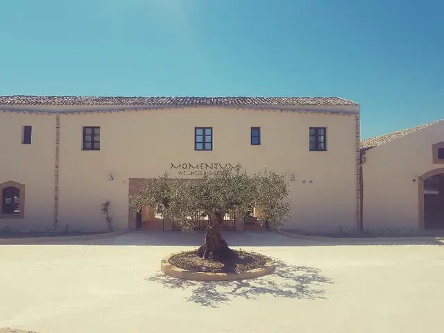Momentum Wellness Bio Resort