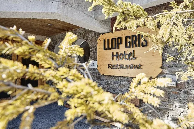 Hotel Llop Gris