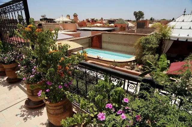 Riad Jona