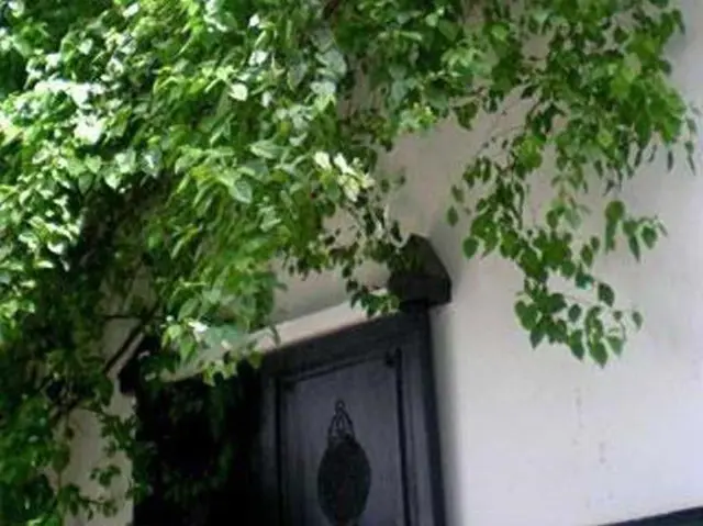 Riad Magellan