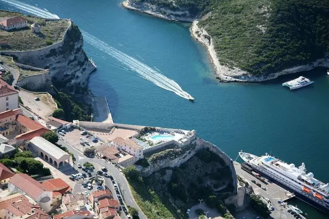 Genovese