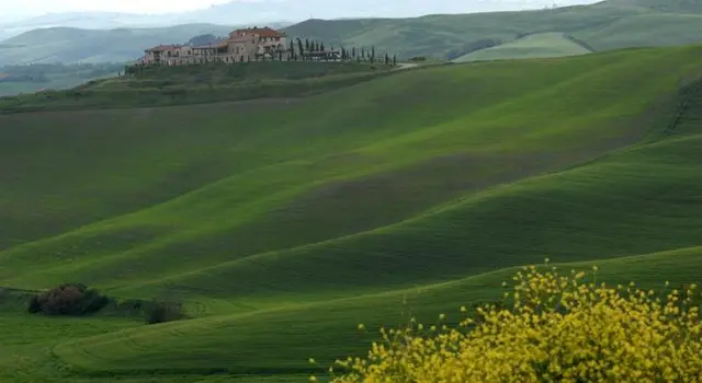Il Palagetto