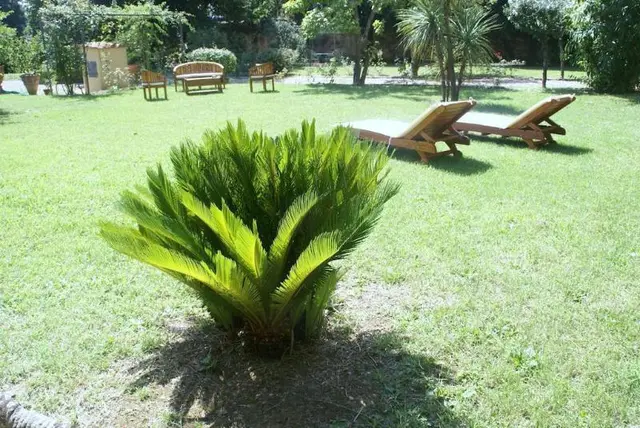 Ape Rosa Relais