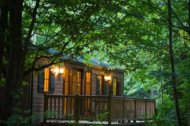Disney Davy Crockett Ranch + Entradas