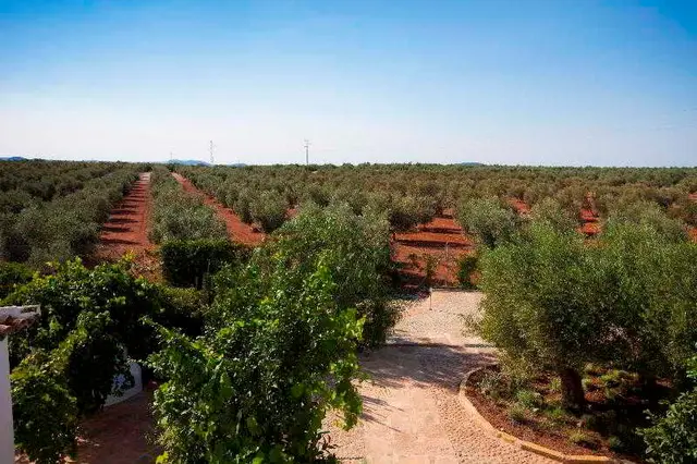 Hotel Rural Hoyo Bautista