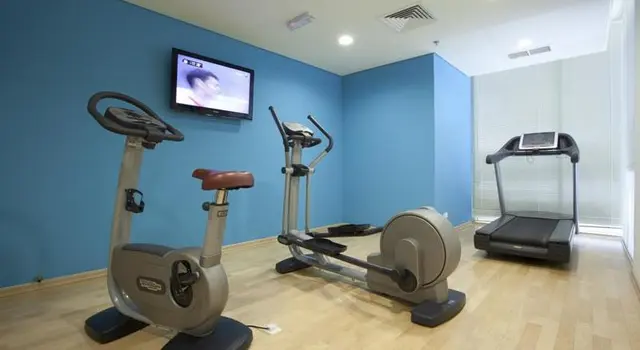 Ibis Sharq