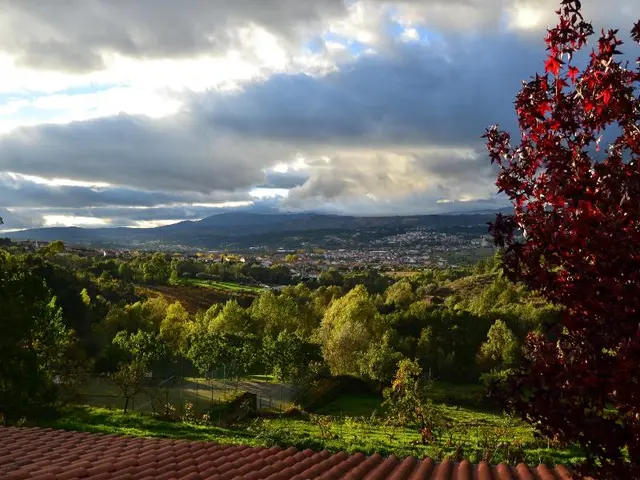 Quinta Da Mata