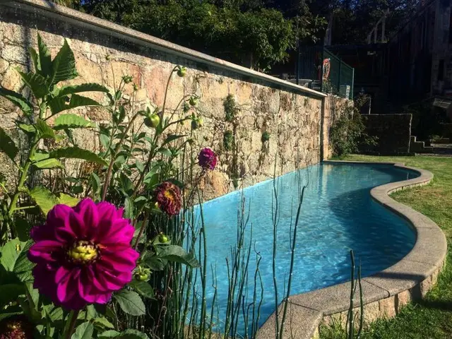 Charme Quinta Do Pinheiro