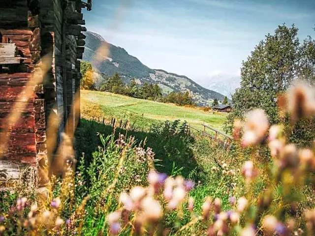 Hotel Restaurant Bürchnerhof