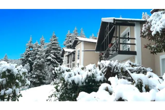 Aldea Andina Hotel&Spa
