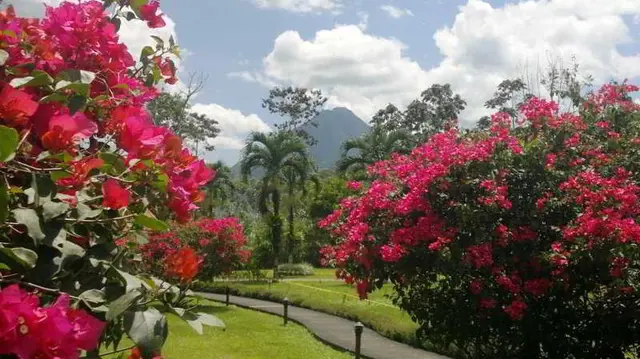 Hotel Eco Arenal