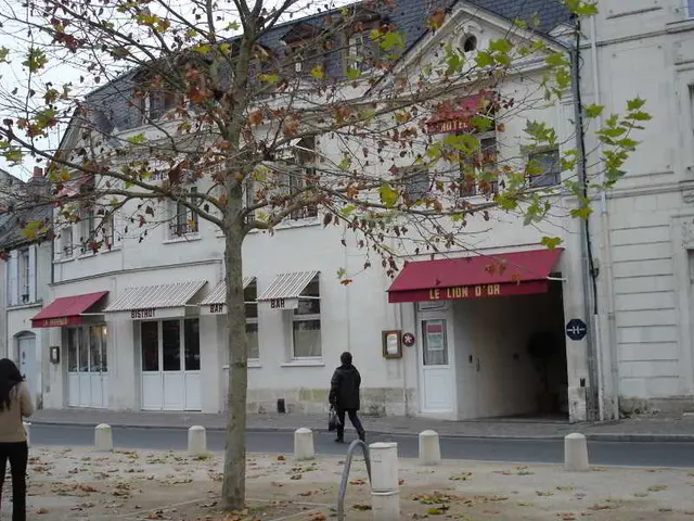 Hôtel Le Lion d'Or, Chinon