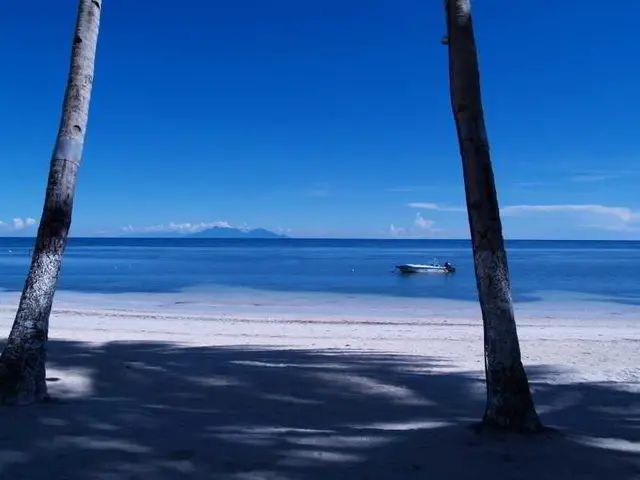 Anda White Beach Resort