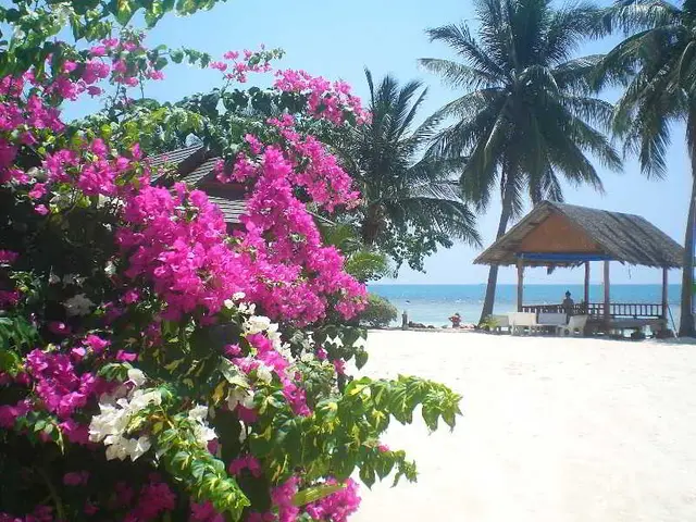 Seaboard Bungalows