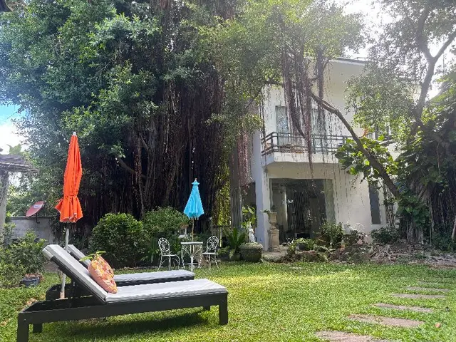 Banyan House Samui bed and breakfast