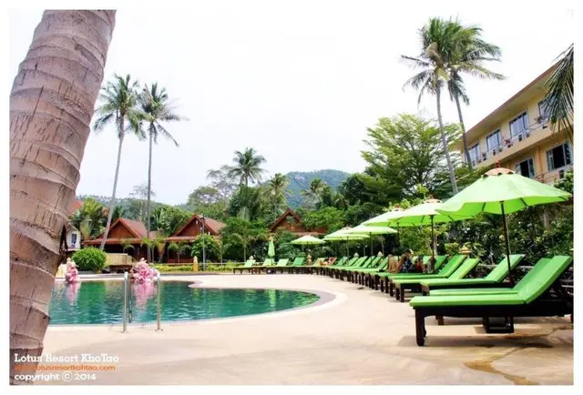Lotus Resort