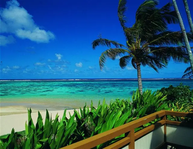 Palm Grove Resort