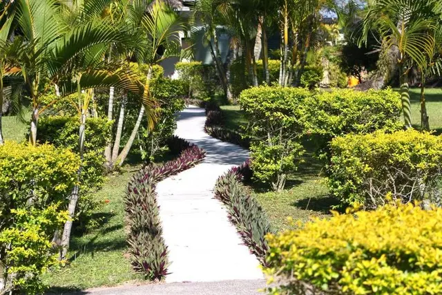 Mango Bay Resort