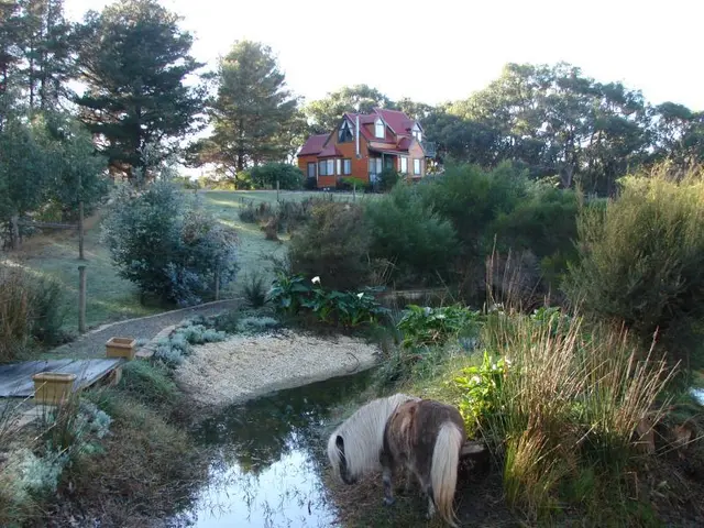 Bells Estate Great Ocean Road Cottages