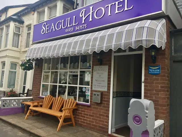 Seagull
