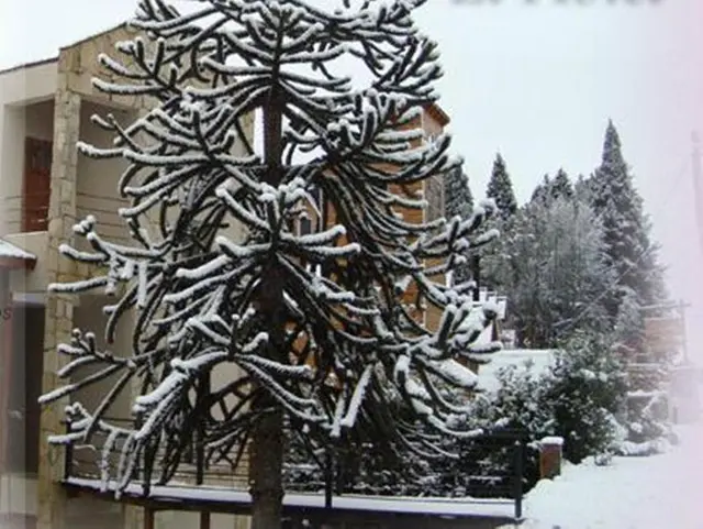 Altuen Hotel Suites & Spa