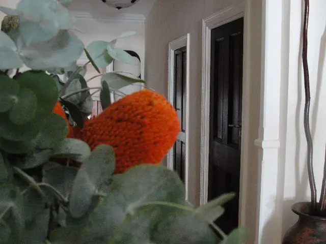 Mountview Spa & Guest House