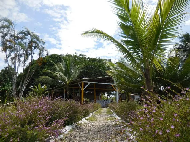 Nuquimar