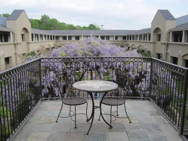 Vineyard Court Designer Suites