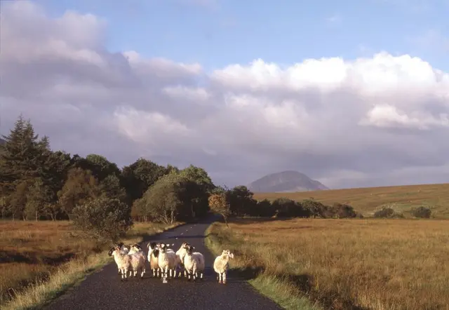 Mount Errigal