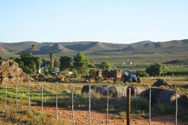 De Denne Country Guest House