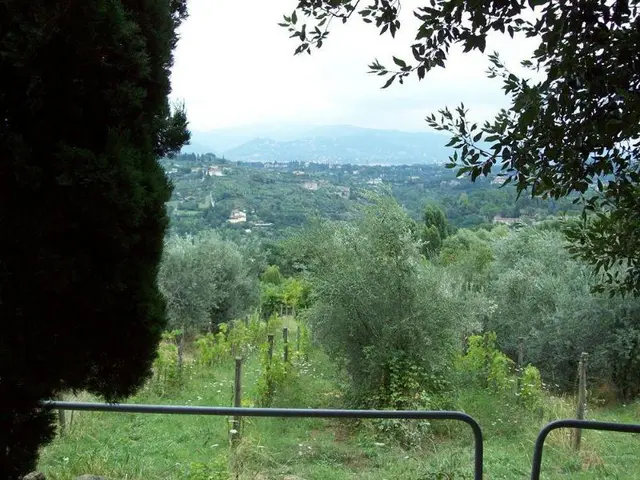 Fattoria Il Milione