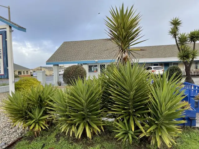 Baymont By Wyndham Fort Bragg At Oceanview