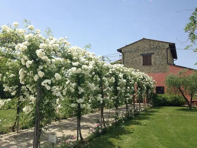 Casale Le Selvette