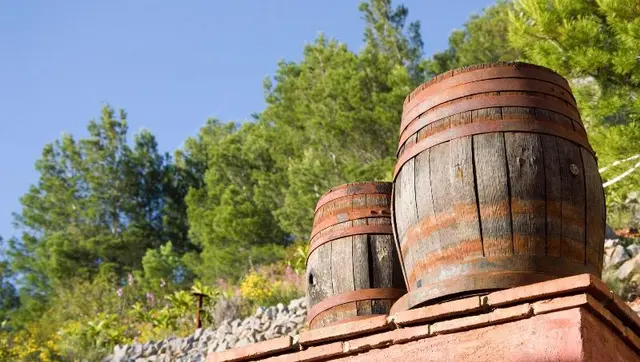 Finca El Tossal