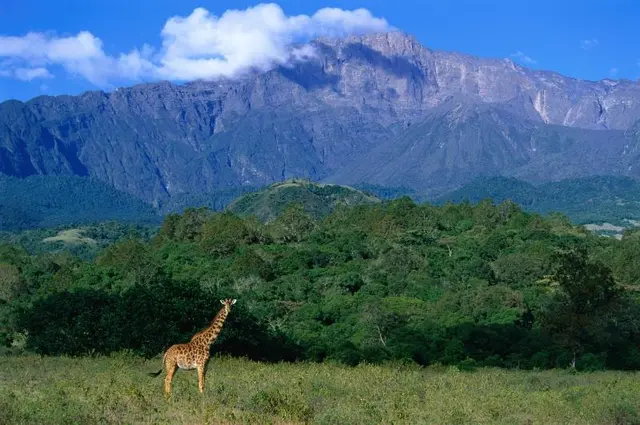 Arusha Coffee Lodge