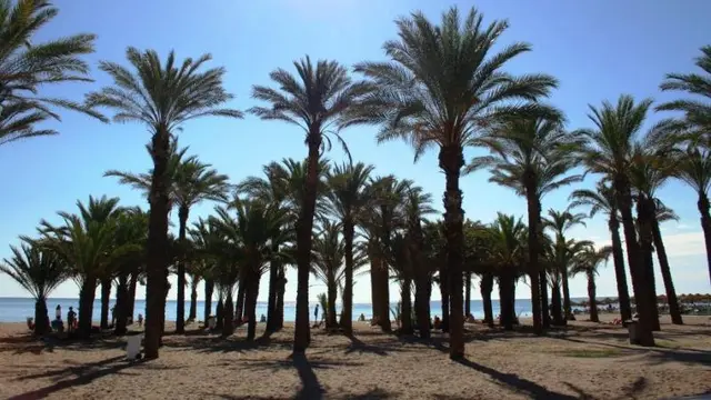 El Pozo